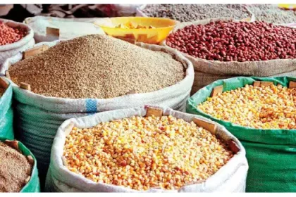 Food Prices Ease Slightly as Rice, Beans, Garri, Tomatoes Drop Nationwide