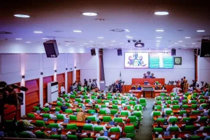 Reps Delay on Electoral Act Amendment