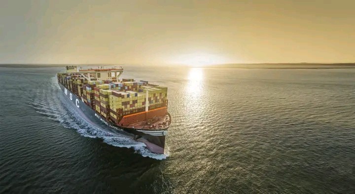 Nigerdock and MSC Seal 45-Year Deal for Snake Island Container Terminal