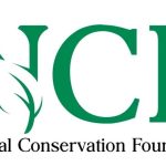 Nigeria Has Lost 90% of Its Forest Cover in Just Three Decades, NCF Warns
