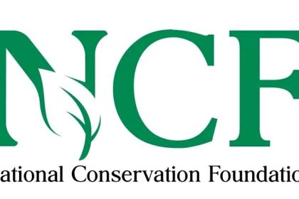 Nigeria Has Lost 90% of Its Forest Cover in Just Three Decades, NCF Warns