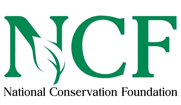 Nigeria Has Lost 90% of Its Forest Cover in Just Three Decades, NCF Warns