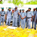 Customs Auctions 66,500 Litres of Smuggled Petrol in Kebbi After Massive Seizure