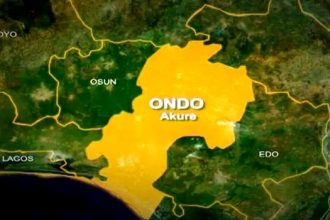 BREAKING: Amotekun Rescues Three Abducted Nurses, Two Others 