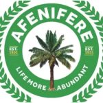 Afenifere Faction Vows to Push for Governance Reform, Aligns with SDP