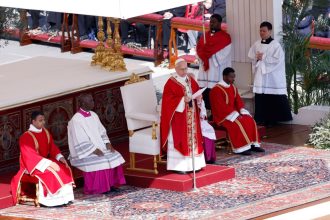 Pope Leo XIV Urges Peace at Palm Sunday Mass