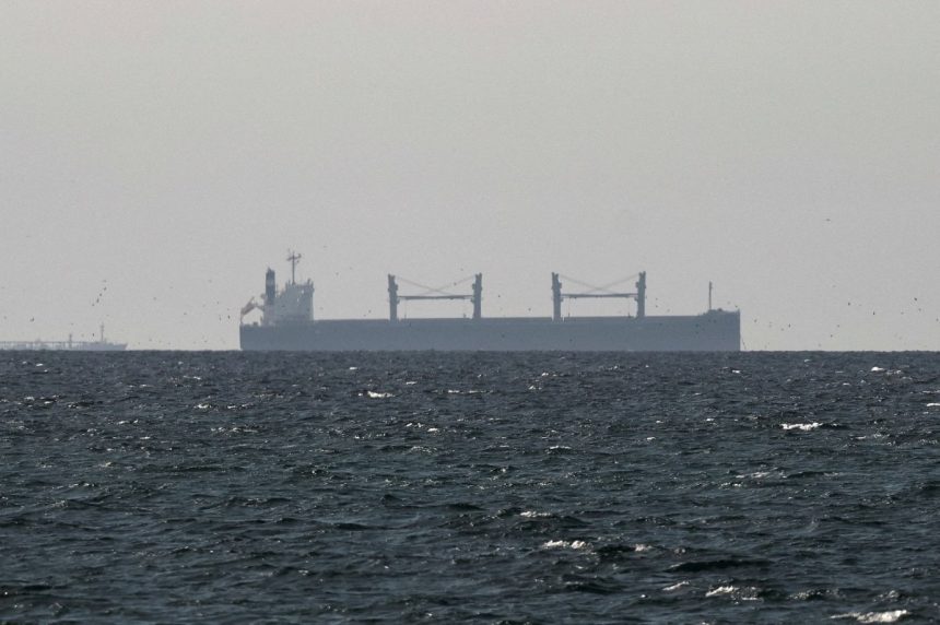Japan, Australia Reject Hormuz Naval Mission