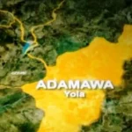 Police Apprehend Two Suspects for Abduction of Four-Year-Old Minor In Adamawa