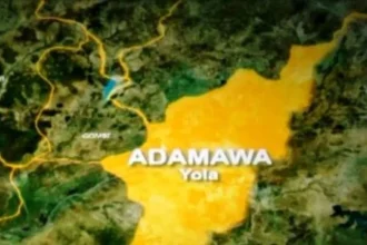 Police Apprehend Two Suspects for Abduction of Four-Year-Old Minor In Adamawa
