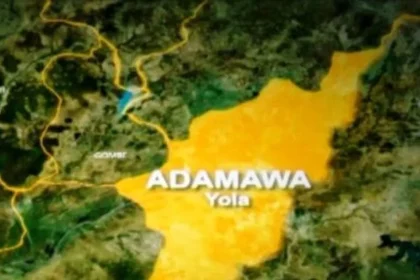 Police Apprehend Two Suspects for Abduction of Four-Year-Old Minor In Adamawa