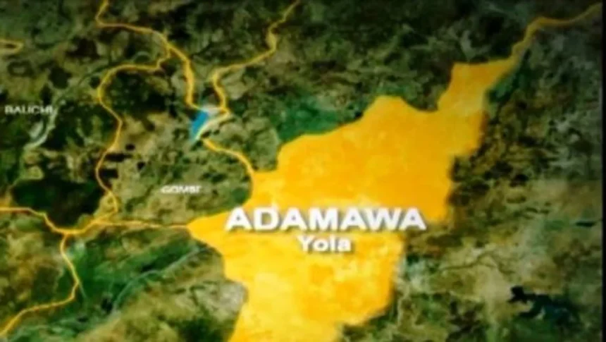 Police Apprehend Two Suspects for Abduction of Four-Year-Old Minor In Adamawa