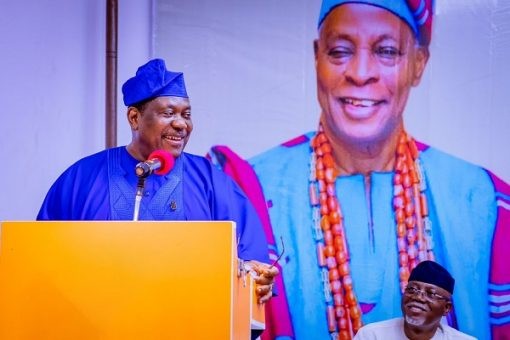 Royal Fathers Must Drive Unity and Stability - Tinubu