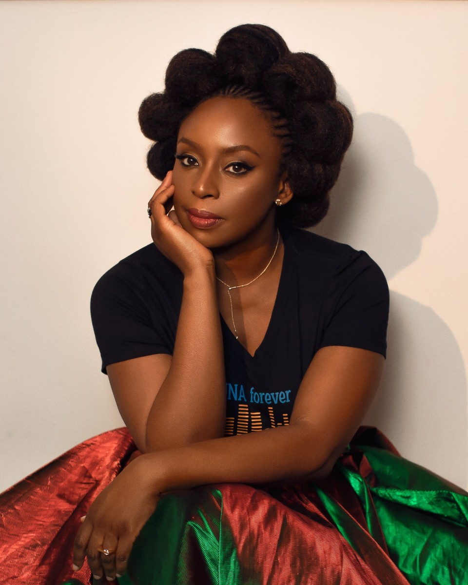 MDCN Panel Suspends Three Senior Doctors Over Death of Chimamanda Adichie’s Son