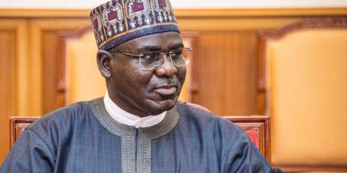 Ex-Army Chief Buratai Claims Government Knows Terror Financiers But Withholds Names