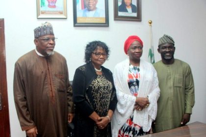 Migration Studies Key to Better Governance - Dabiri-Erewa