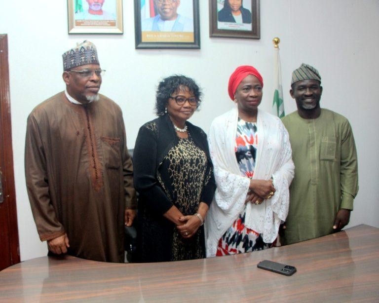Migration Studies Key to Better Governance - Dabiri-Erewa