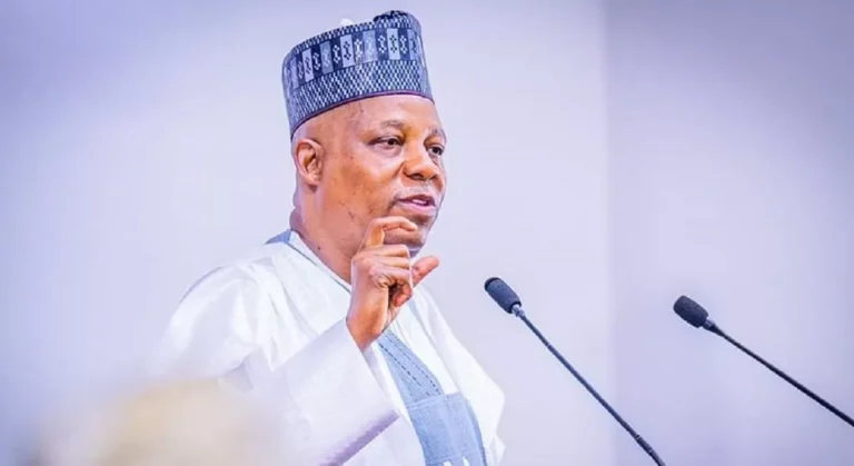 Tinubu Committed to Fixing Nigeria’s Power Sector - Shettima