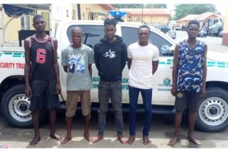 Lagos Taskforce Arrests Five Suspected ‘Omotaku’ Hoodlums
