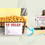 NDLEA Nabs Ex-Lagos Councillor with 40kg Skunk