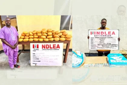 NDLEA Nabs Ex-Lagos Councillor with 40kg Skunk