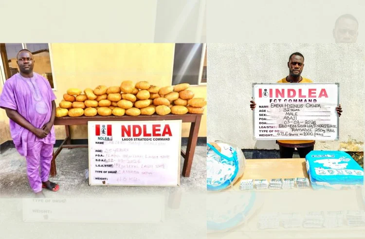 NDLEA Nabs Ex-Lagos Councillor with 40kg Skunk