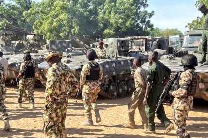 Troops Arrest Two Suspected Terrorist Informants in Borno