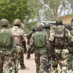 Benue Security Operation Leads to Arrest of Suspected Militia