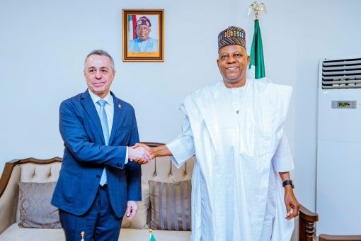 Nigeria, Switzerland Strengthen Ties as Bern Pledges Return of Benin Bronzes