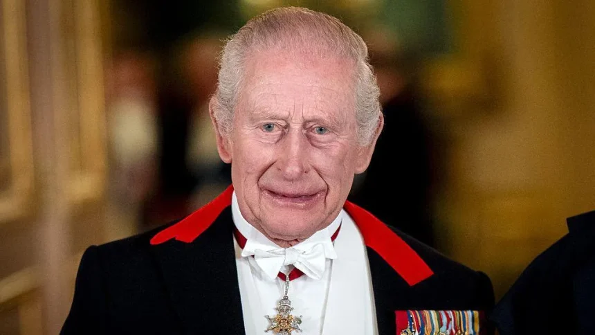 US Lawmaker Urges King Charles III to Meet Epstein Victims