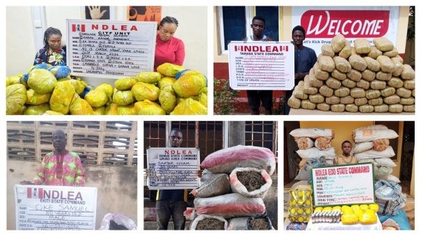 Drug Bust: Cocaine Concealed in Dry Fish Intercepted in Lagos