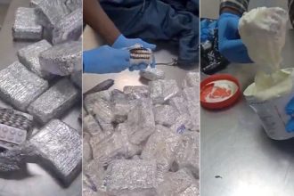NDLEA Busts Major Drug Smuggling Network