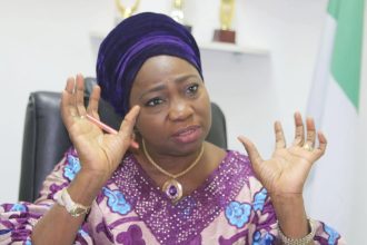 Dabiri-Erewa Slams Arrest of 42 Nigerians, Raises Xenophobia Concerns