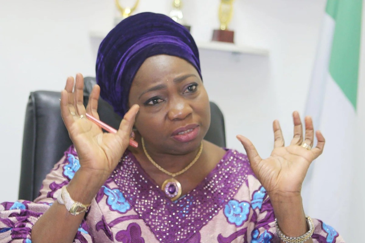 Dabiri-Erewa Slams Arrest of 42 Nigerians, Raises Xenophobia Concerns
