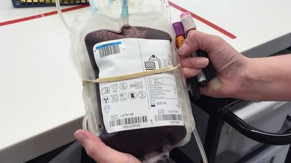 Doctrines That Change, Lives That Don’t Return: The Cost of Jehovah’s Witness Blood Policy