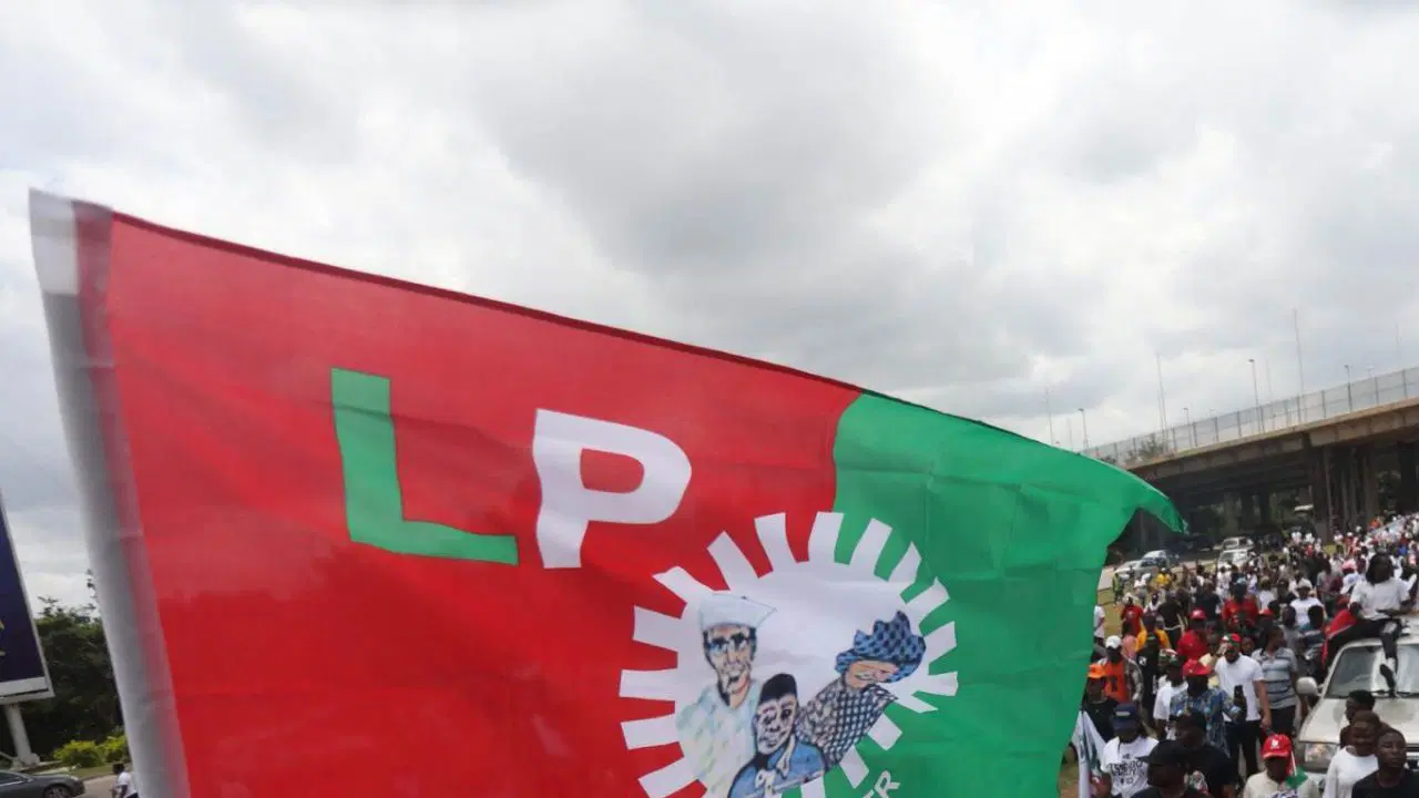 Why Labour Party Lost Over 176 Lawmakers