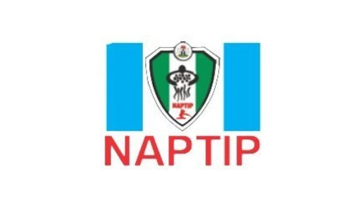 NAPTIP Reacts to Delta Festival Assaults