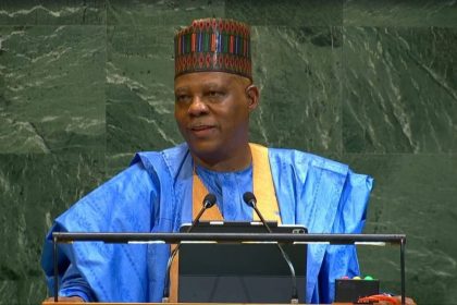 No Safe Haven for Terrorists in Nigeria - Kashim Shettima