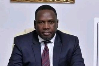 FG Committed To Ending Killings, Nigerians Can Defend Themselves — Bwala