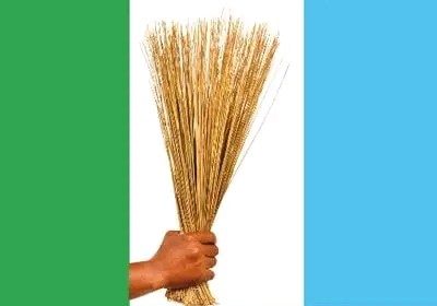 APC Releases 2027 Election Timetable, Fixes Nomination Fees