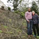 US-Based Nigerian Doctor Risks $1m Fine in California Over Protected Tree Removal