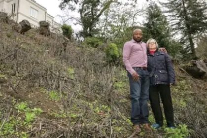 US-Based Nigerian Doctor Risks $1m Fine in California Over Protected Tree Removal