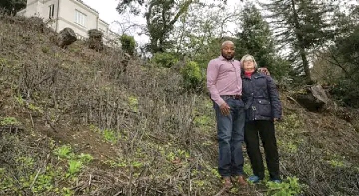 US-Based Nigerian Doctor Risks $1m Fine in California Over Protected Tree Removal