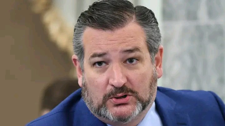US Senator Accuses Nigerian Officials of Complicity in Mass Killing of Christians