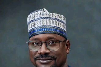 REA To Inject 288MW Into National Grid Via 40 New Mini-Grids