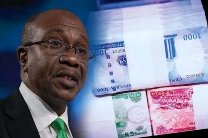 Suspects Confesses To $6.23m Fraud In Ongoing Emefiele Trial