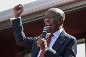 Julius Malema Sentenced to Five Years Over Gun Incident