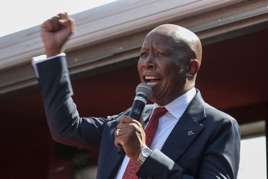 Julius Malema Sentenced to Five Years Over Gun Incident