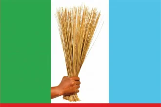'APC Will Remain in Power for 100 Years' – Yobe Chairman