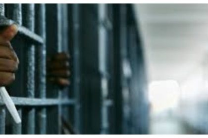Ex-Borno Senatorial Candidate Jailed for Assisting Boko Haram Operations