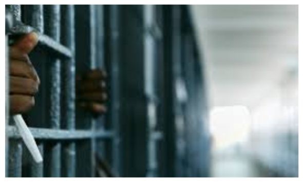 Ex-Borno Senatorial Candidate Jailed for Assisting Boko Haram Operations